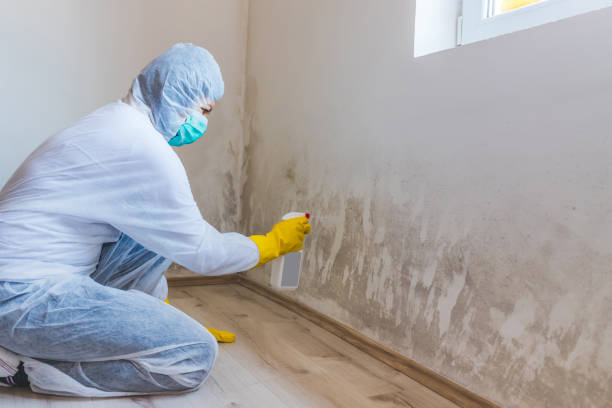 Hvac And Air Duct Mold Remediation inspection of HVAC system in Lancaster